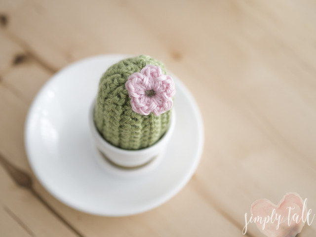 cactus, crochet, cactus crochet pattern, amigurumi, succulent