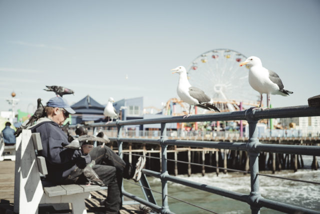 santa monica, los angeles, california