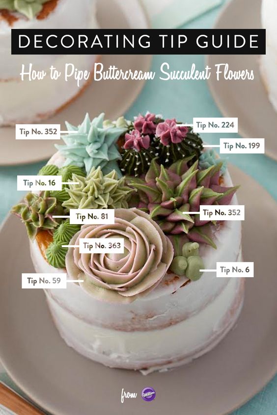 cactus, diy, succulent cake, minimalist, diy cake, wilton, icing tips