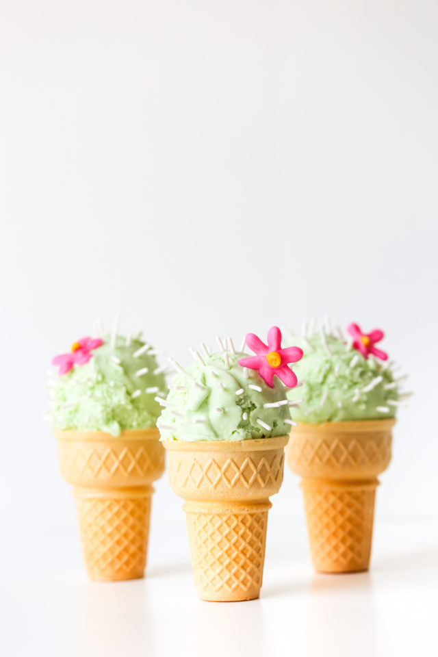 cactus, succulents, ice cream, catus ice cream