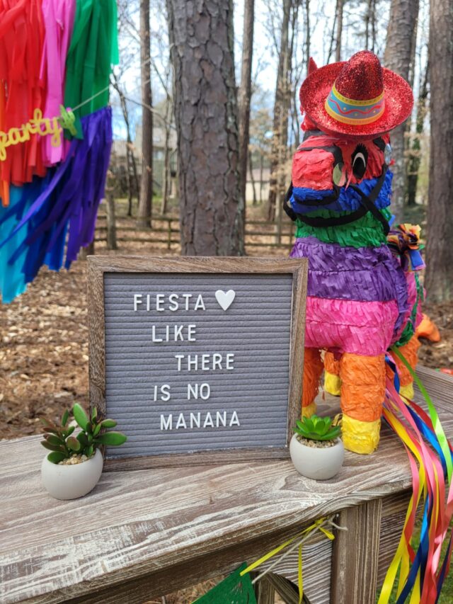 pinata, cinco de mayo, diy garland, rainbow backdrop, rainbow garland, dessert table