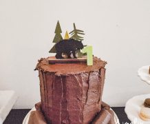 plaid, lumberjack,timber, wilderness, birthday, 1st birthday, birthday boy idea